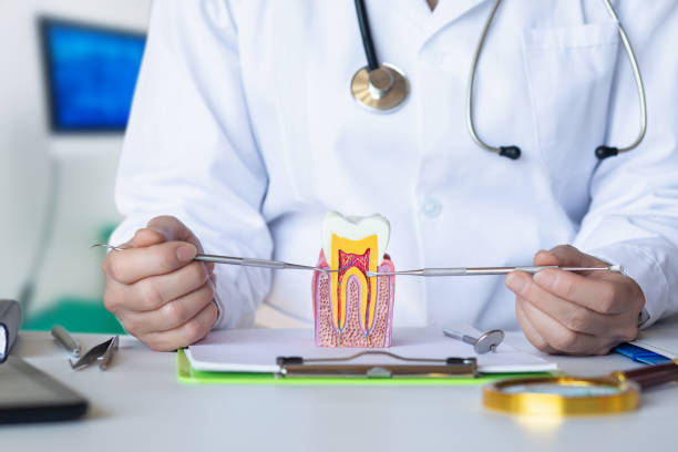 Best Emergency Tooth Extraction  in Liberty, MO